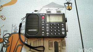 Проблема QODOSEN DX-286 №1 Внутренний шум (писк)