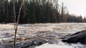 Сплав на катамаранах по Шуе (Карелия)