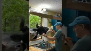 Подарок от Бога для людей.mp4