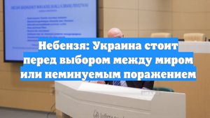 Небензя: Украина стоит перед выбором между миром или неминуемым поражением