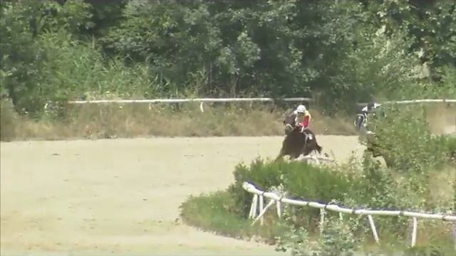 Приз КЗ Малкинский Резвая смотреть онлайн