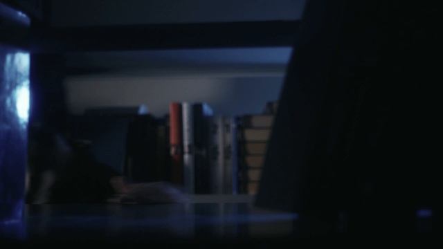 الغراب الأبيض
(AR БВ)
درس سينمائي رقم20: المغفرة