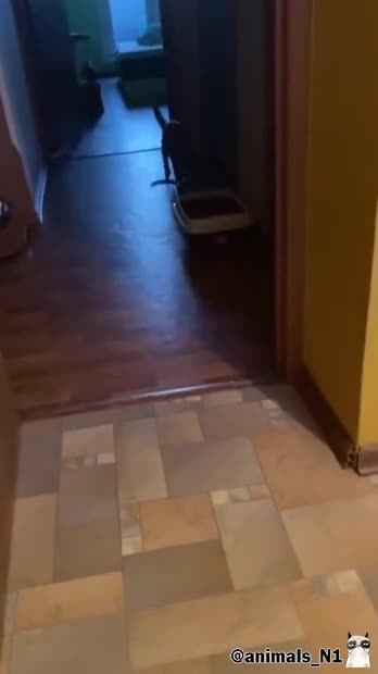 Подпишись 👉 https://vk.com/ykrasheniy_iz_kamny