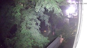 Незаконная торговля после 23.00