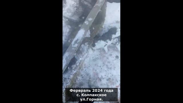 Нападение на домашний скот с. Колпакское смотреть онлайн