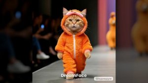 котик в пижаме