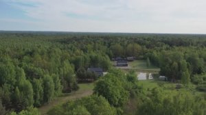 Заставим лесной дом улыбаться. Обои, как средство для укрепления брачных уз.