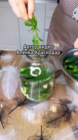 Квашеные огурцы на зиму