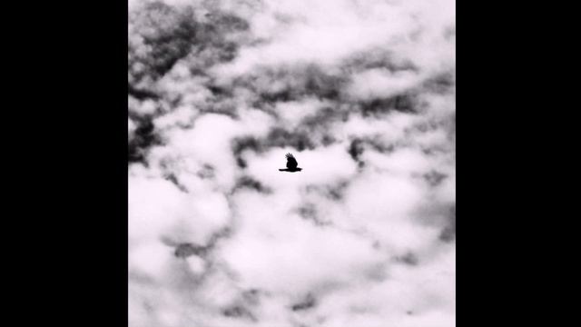 НЧРК -  не сдувая пыль