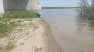 VID_20250523_141407.mp4