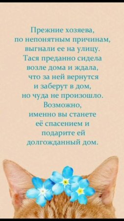 💖 Тася – это комочек тепла и нежности, который готов подарить вам всю свою любовь. 💖