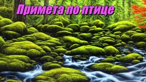 Примета по птице