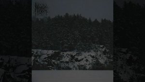 Петля