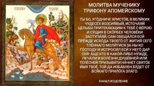 Молитва мученику Трифону Апомейскому