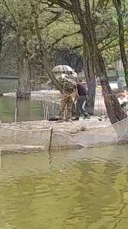 31.05.25 г. парк отдыха водопад