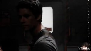 Ньют и Томас бегущий в лабиринте - Dynasty