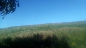 Противопожарное опахивание — вспашка грунта вокруг пожароопасного участка для предотвращения.......