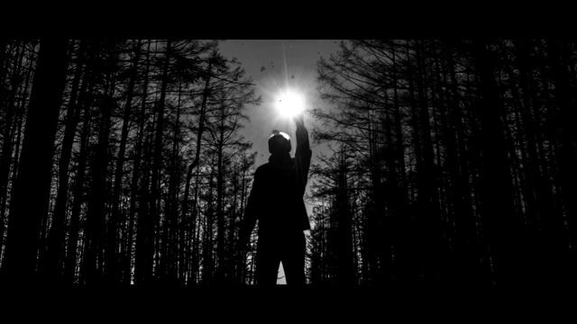 Страшные Истории : Этот Дом Проклят !!! смотреть онлайн