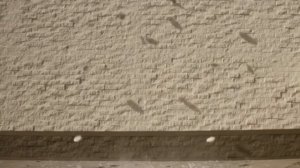 Разбитые тарелки