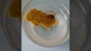 отливка на воске+гадание#целитель#шаманка#экзорцист#г