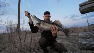 День второй. Метод ловли судака, побил личный рекорд по судаку.