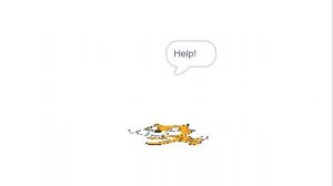 no cat