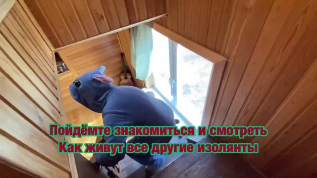 Байкальская самоизоляция жителей Крипто_столицы. Как выжить если твоя семья слегка Адамсы?🧛♂️ смотреть онлайн