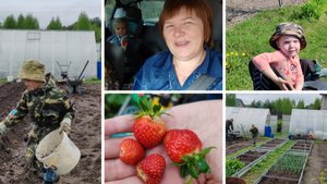 31-05-2025. Посадили картошку. Внуки у нас. Первый урожай. Работаю в теплицах. Высадила томаты.