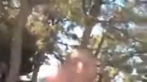 негры орут ооооооооооннннннн