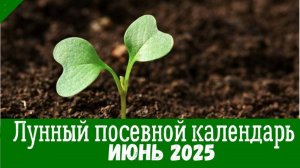 ЭТОТ КАЛЕНДАРЬ ПОСЕВА РАЗОРИТ ВСЕ МАГАЗИНЫ! 🌱 ЧТО СЕЯТЬ В ИЮНЕ 2025? (ТОЧНЫЕ ДАТЫ)