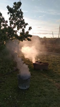 Морозное утро 29 мая❄️ у нас прошли возвратные заморозки, наконец то наступит лето