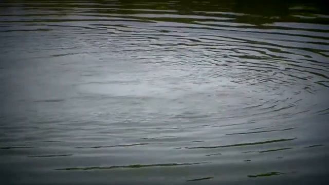 Цена жизни смотреть онлайн