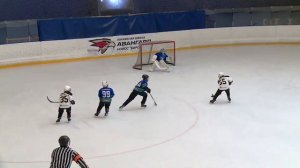 ХК Буревестник(14) - ХК Авангард(14) 01.04.2024г