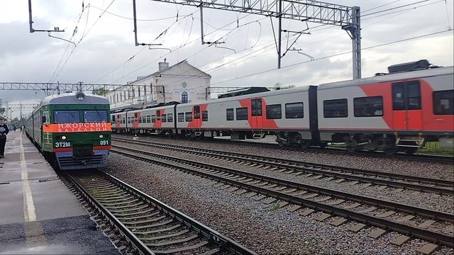 Двойной Скоростной Электропоезд Ласточка ЭС2ГП-016+ЭС2ГП-015 До станции Москва Пролетает мимо Любань