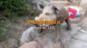 Джентельмены интересуются искусством