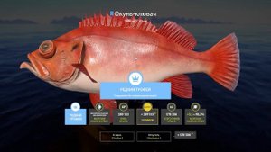 РЕДКИЙ ТРОФЕЙ ОКУНЯ КЛЮВАЧА РУССКАЯ РЫБАЛКА 4