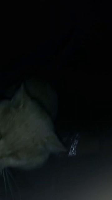 Это ещё вчера вечером было смотреть онлайн