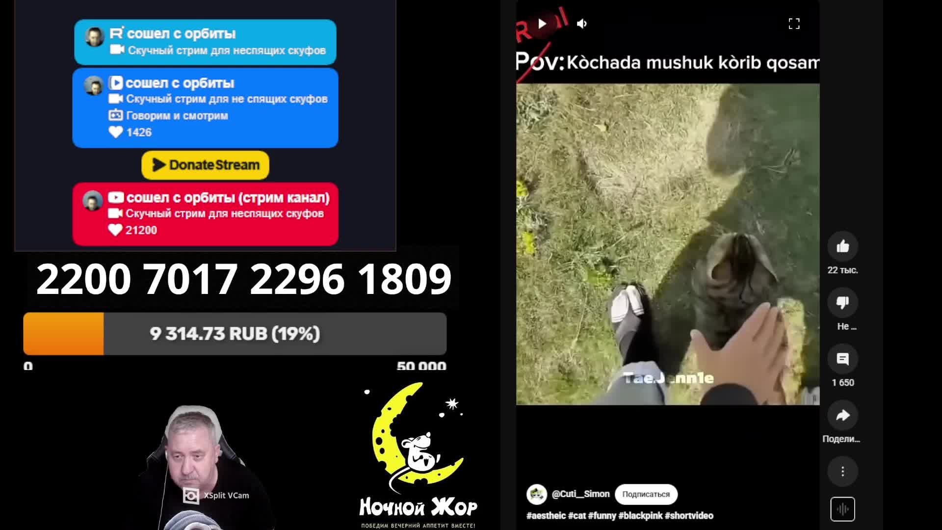 Скучный стрим для неспящих скуфов