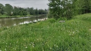 Утро на водоёме.