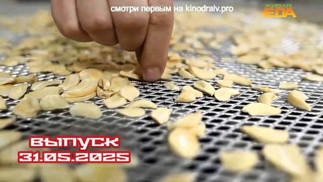 Живая еда 31.05.2025 Польза от сушеных овощей, газ для производства еды и по смотреть онлайн нтв