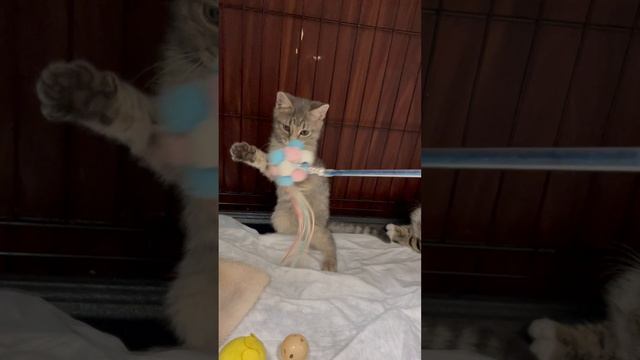 31-05-2025 смотреть онлайн