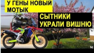САМВЕЛ АДАМЯН, ОБЗОР ОТ СК, У ГЕНЫ НОВЫЙ МОТИК