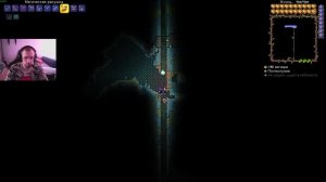 КАК И ГДЕ НАЙТИ МЕРЦАНИЕ В TERRARIA? #2025 #terraria #террария #как #где