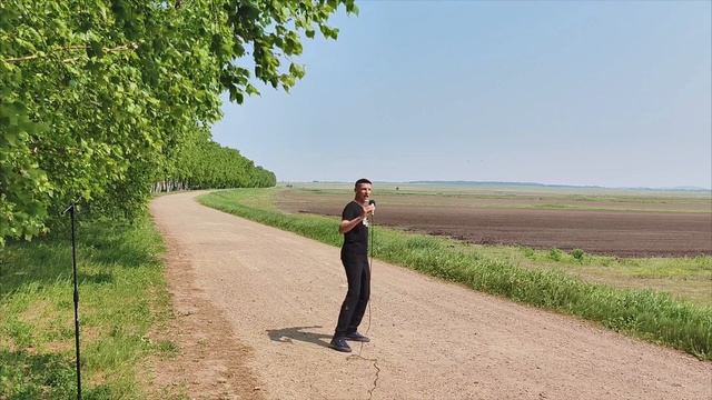 Непоколебимое искусство