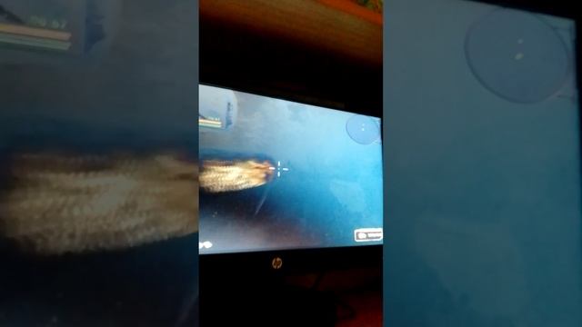 разговор с Витамином и уход в Варлаб смотреть онлайн