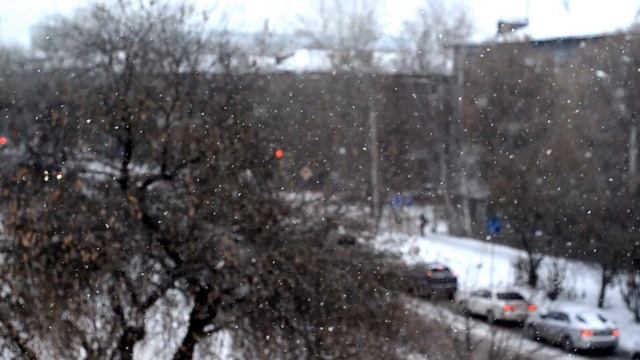 ЗИМА БЛИЗКО. РЕКЛАМА ЛАМОДЫ. ЧЁРНАЯ ПЯТНИЦА. смотреть онлайн