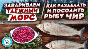 ВКУСНЫЙ ЗАСОЛ МАЛОСОЛ ПО ЧИРУ/БРУСНИКА ТАЙГИ И ВКУСНЕЙШИЙ МОРС