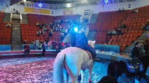 Катание на лошади в цирке.