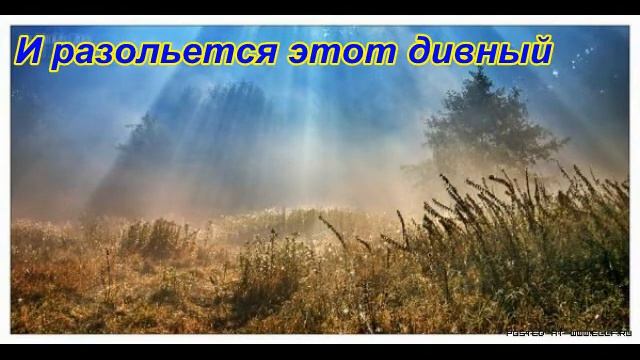 ДУША.avi смотреть онлайн