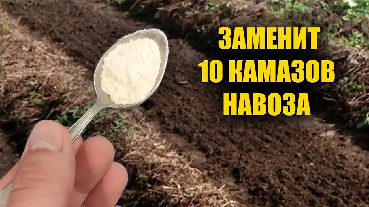 ЛУЧШЕ ЧЕМ НАВОЗ И БЕСПЛАТНО! ЗАМЕНИТ ВСЕ УДОБРЕНИЯ ДЛЯ ГРУНТА! ПОЧВА СТАНОВИТСЯ ОЧЕНЬ ПЛОДОРОДНОЙ!